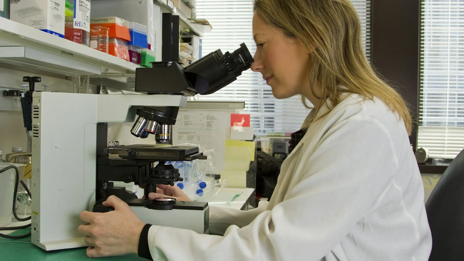 Clinical diagnostics immunoassay test tubes and multi-well screening plates for etg urine test analysis